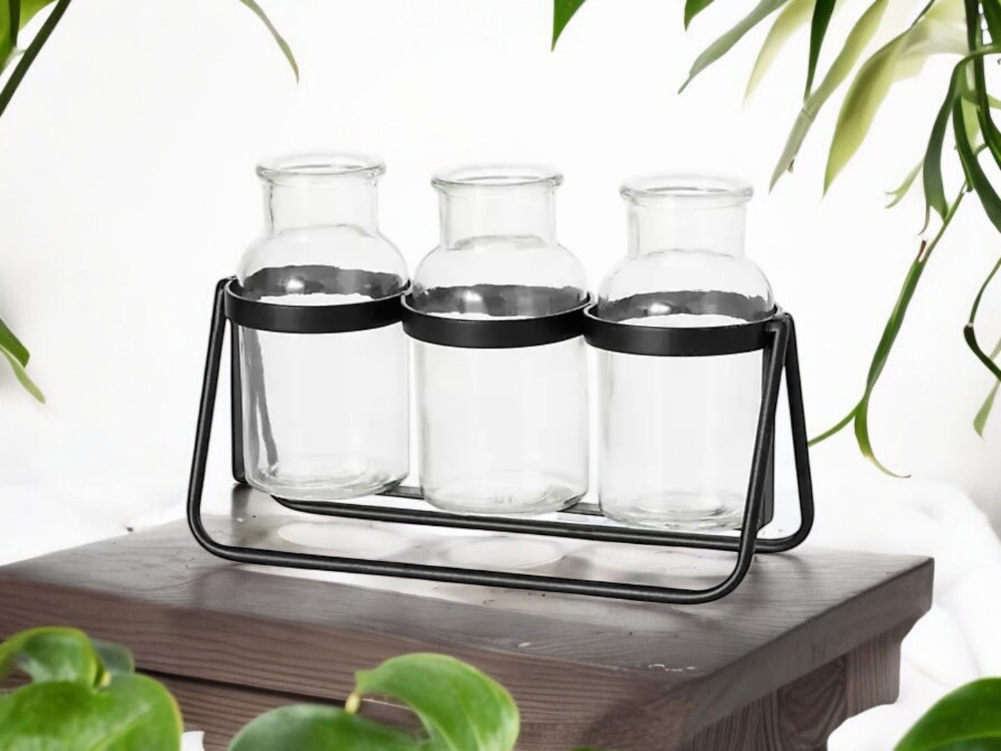Modern Propagation Station with Black Metal Frame and Glass Bottles Vase Trio Propagate Modern Industrial Style