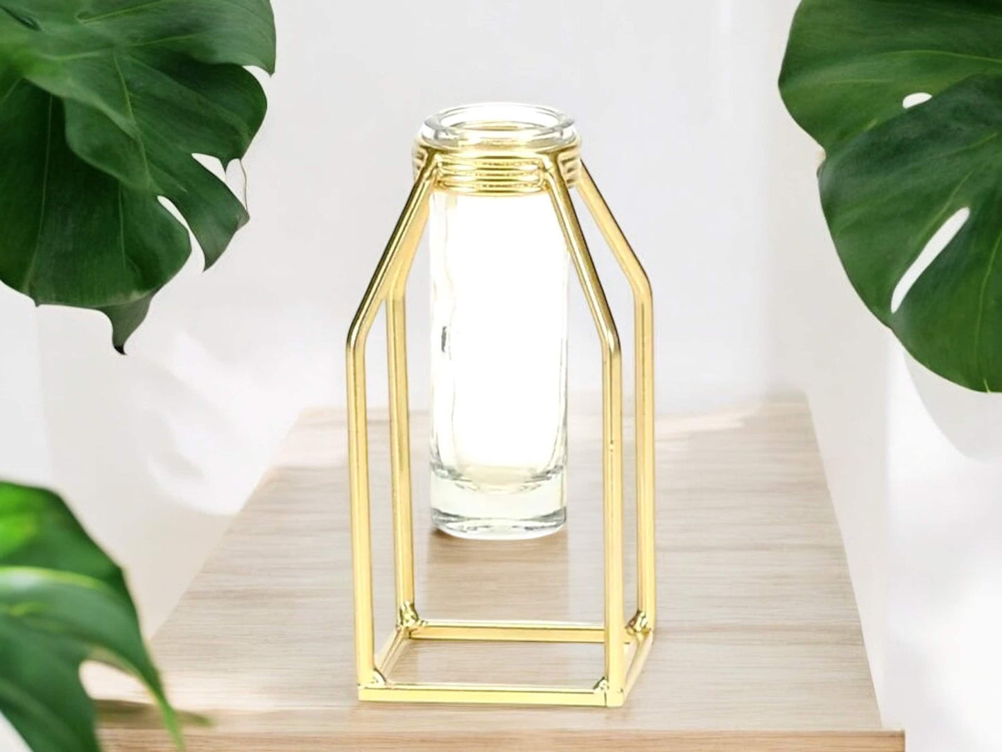Gold Propagation Station With Glass Test Tube Modern Vase Propagate Gold Square Frame Good Wedding Decor Gift for House Plant Lover