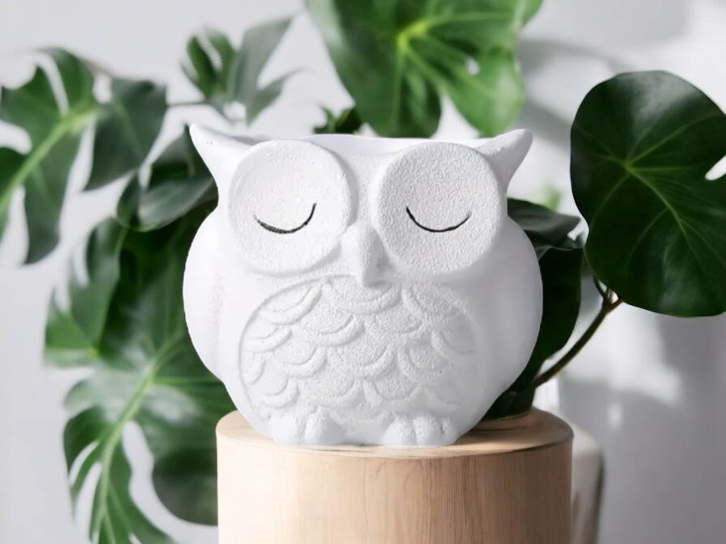 White Owl Planter for Woodland Nursery Without Drainage Matte White Round Flower Pot Gift for Babyshower