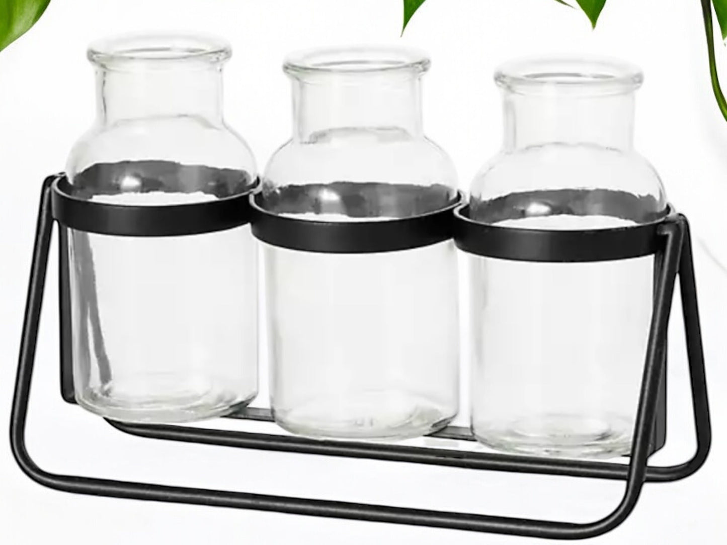 Modern Propagation Station with Black Metal Frame and Glass Bottles Vase Trio Propagate Modern Industrial Style