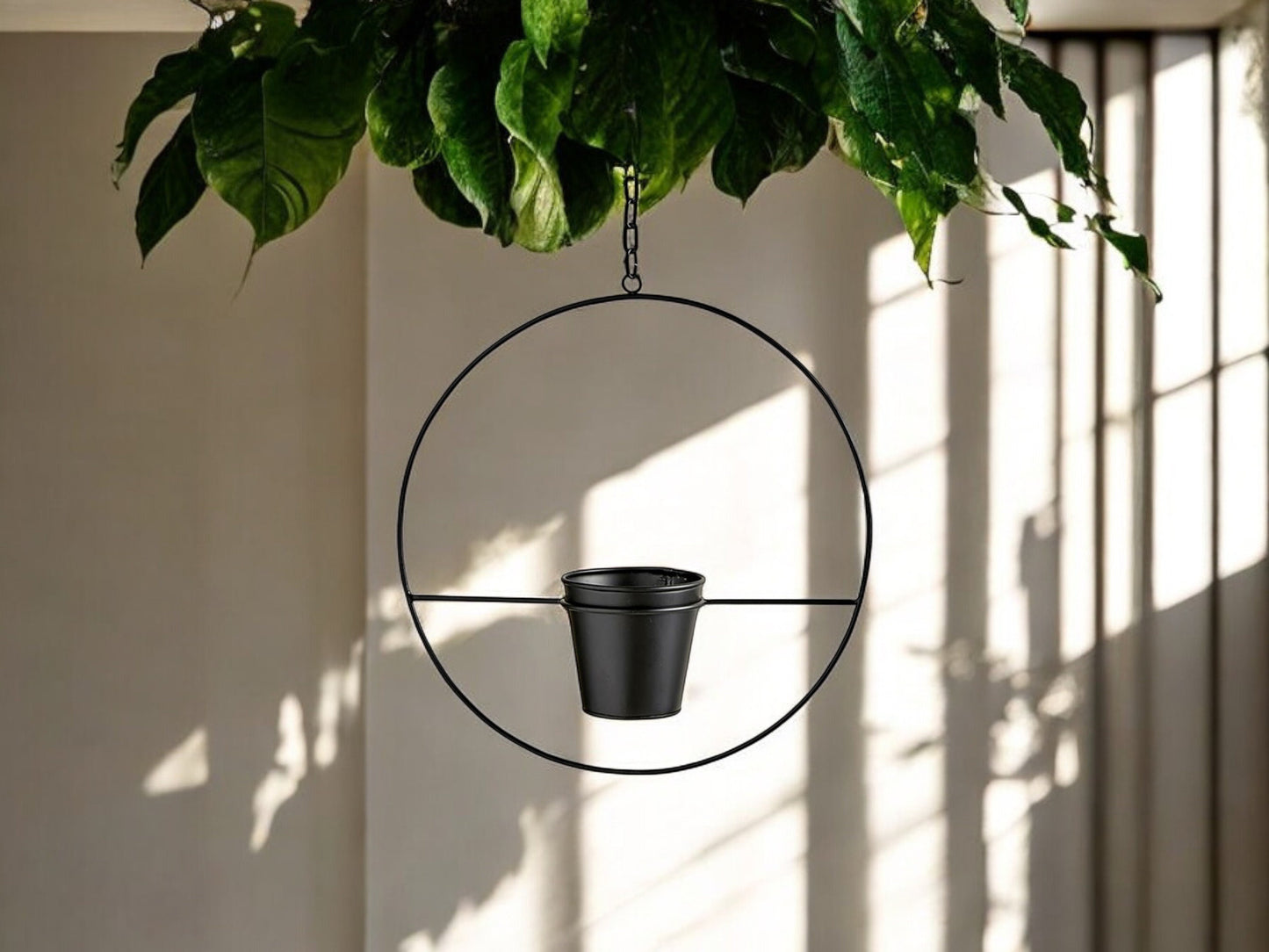 Black Circular Frame Hanging Planter for Vining Plants Matte Industrial Style Flower Pot Orb Decorative Pot for House Plant Lover