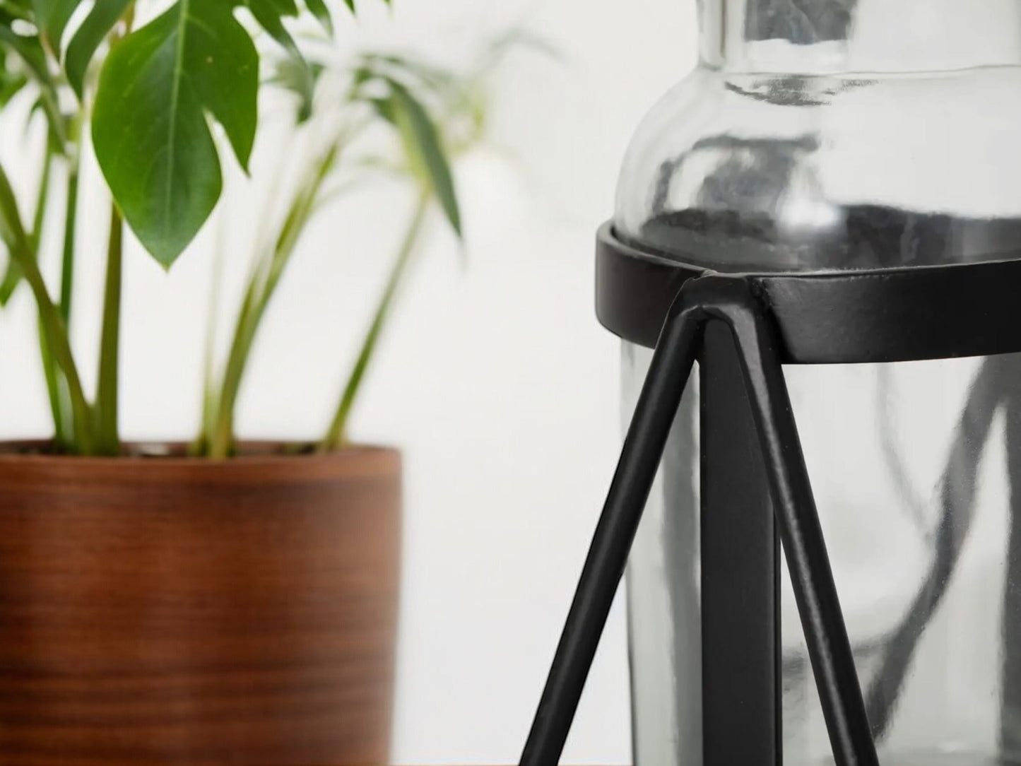 Modern Propagation Station Set with Black Metal Frame and Glass Bottles Vase Propagate Modern Industrial Style
