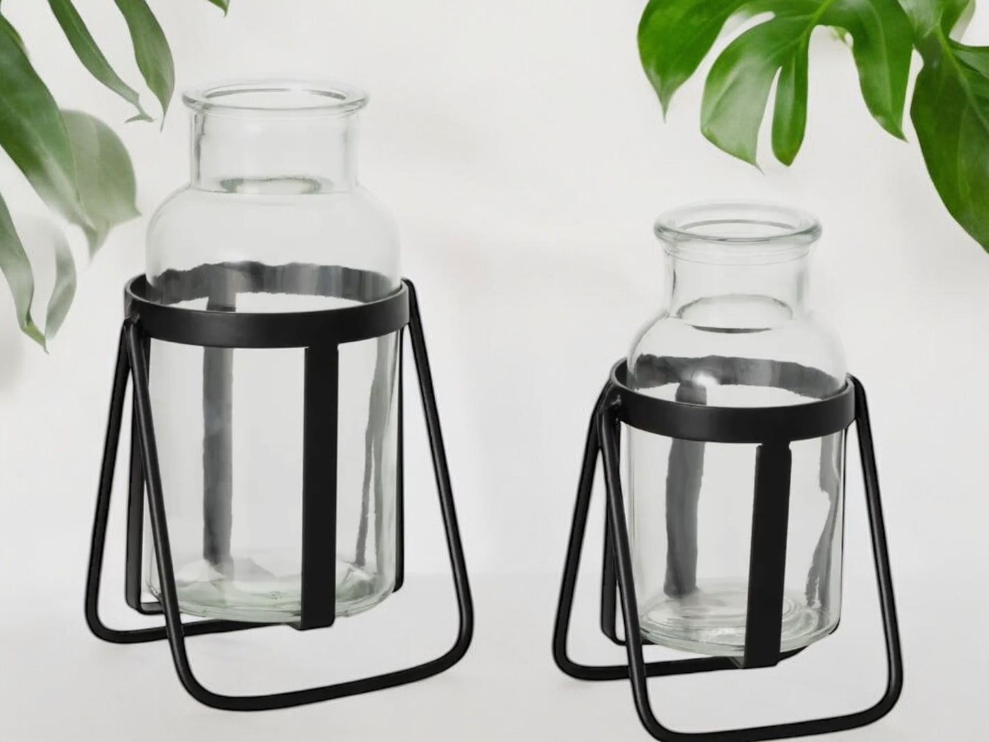 Modern Propagation Station Set with Black Metal Frame and Glass Bottles Vase Propagate Modern Industrial Style