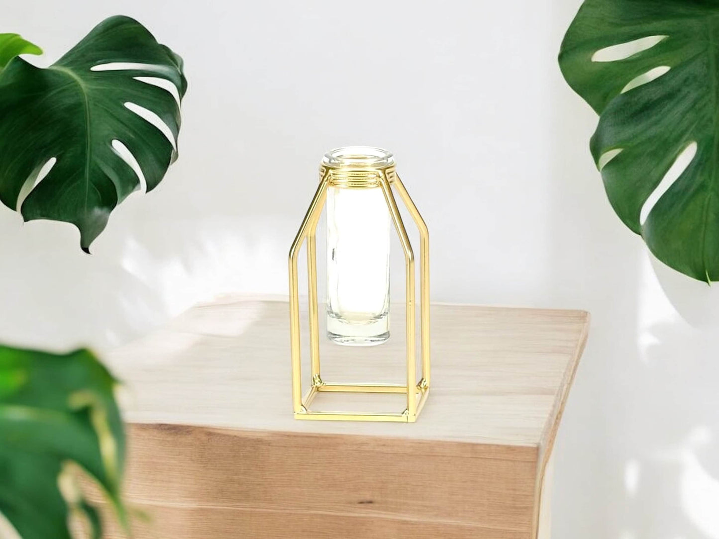 Gold Propagation Station With Glass Test Tube Modern Vase Propagate Gold Square Frame Good Wedding Decor Gift for House Plant Lover