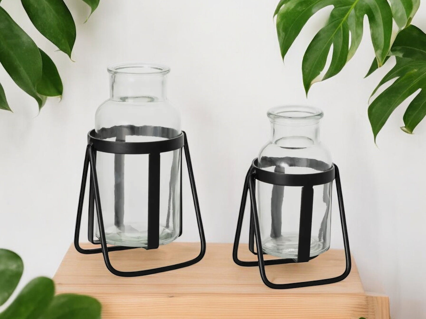 Modern Propagation Station Set with Black Metal Frame and Glass Bottles Vase Propagate Modern Industrial Style