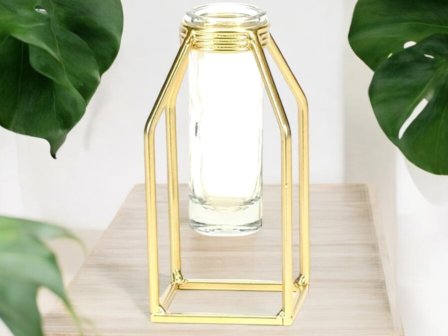 Gold Propagation Station With Glass Test Tube Modern Vase Propagate Gold Square Frame Good Wedding Decor Gift for House Plant Lover