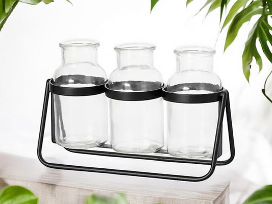 Modern Propagation Station with Black Metal Frame and Glass Bottles Vase Trio Propagate Modern Industrial Style