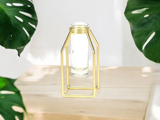 Gold Propagation Station With Glass Test Tube Modern Vase Propagate Gold Square Frame Good Wedding Decor Gift for House Plant Lover