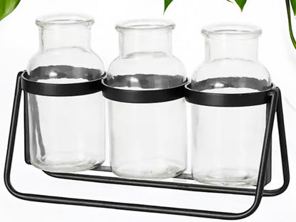 Modern Propagation Station with Black Metal Frame and Glass Bottles Vase Trio Propagate Modern Industrial Style