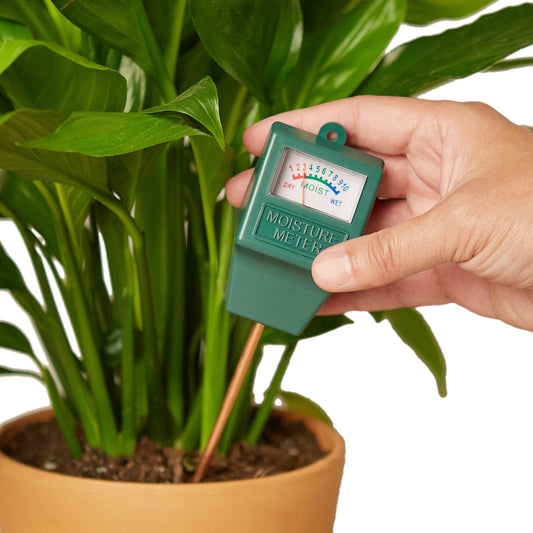 Moisture Meter for House Plants