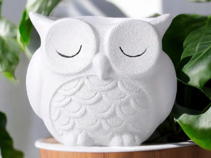 White Owl Planter for Woodland Nursery Without Drainage Matte White Round Flower Pot Gift for Babyshower