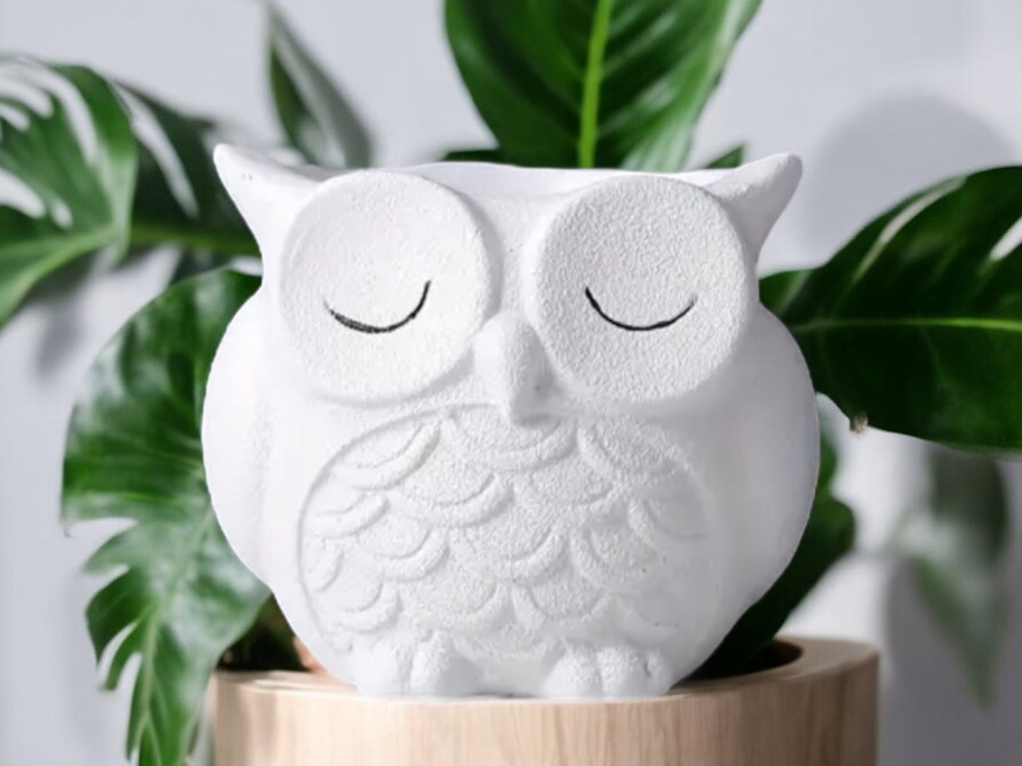 White Owl Planter for Woodland Nursery Without Drainage Matte White Round Flower Pot Gift for Babyshower