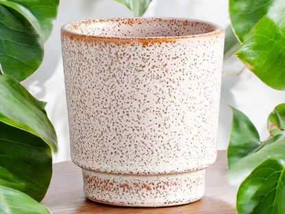 Small Speckled Planter Without Drainage Cream Tan Neutral Colors Ceramic Flower Pot for Succulents Small Gift for Teacher Coworker