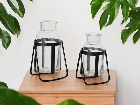 Modern Propagation Station Set with Black Metal Frame and Glass Bottles Vase Propagate Modern Industrial Style