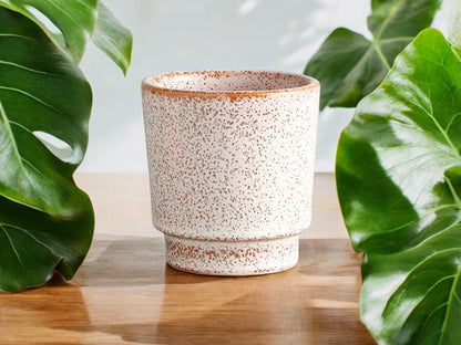 Small Speckled Planter Without Drainage Cream Tan Neutral Colors Ceramic Flower Pot for Succulents Small Gift for Teacher Coworker